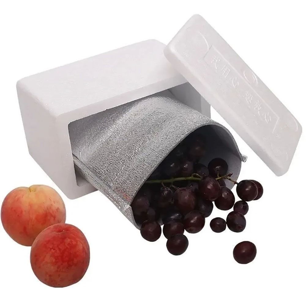 Aluminium folie Kühltasche Iso – Food Snacks Delivery Bewertung und Preis